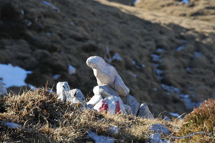 129 Marmotta pietrificata.JPG